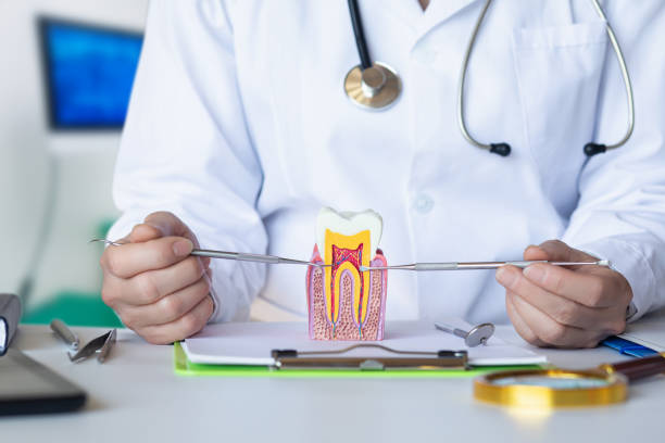Best Same-Day Emergency Dental Services in Rosedale, MD